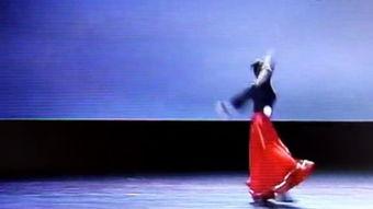 独舞 鸿雁 视频,穿越时空的飞翔传奇