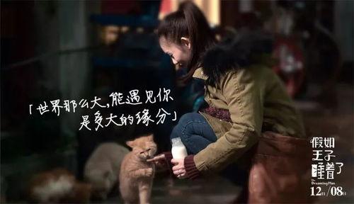 假如王子睡着了BD高清在线播放,高清揭秘王子神秘睡颜