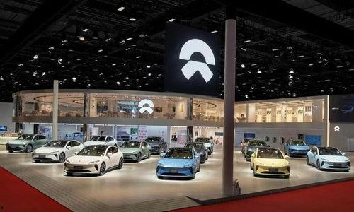 阿尔卑斯爆料视频网,独家内容背后的故事