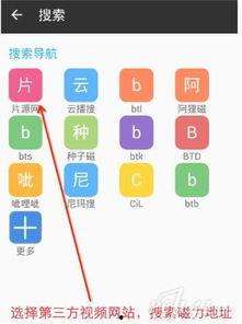 双穴无码迅雷磁力,探索网络资源下载新方式