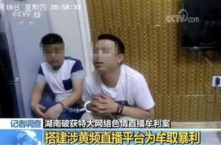 av 为狼友服务,狼友服务，揭秘虚拟社交新时代