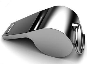 日本 哨子 公司,引领日本智能安防领域的先锋力量