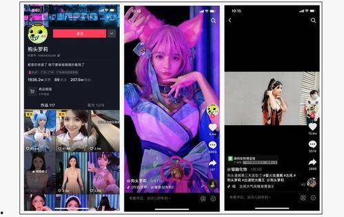 爆料各大网红视频大全集,揭秘热门网红幕后故事与精彩瞬间