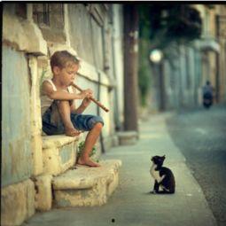 小男孩吹笛子猫听视频,小男孩吹笛子引发猫咪倾情聆听